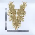Applique d’encolure botanique rose — 8